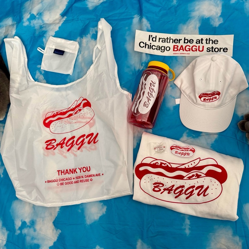 **ISO** Chicago baggu merch